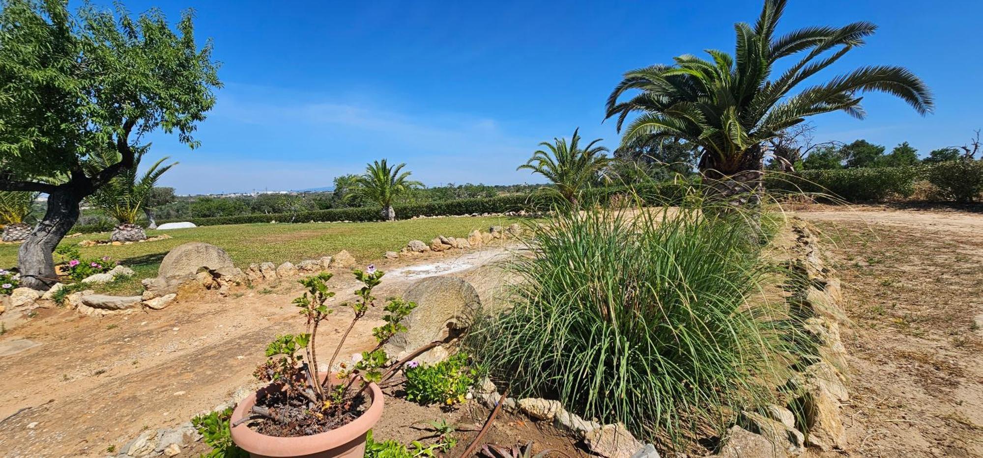 Villa Quinta Do Lagar Albufeira Exterior foto