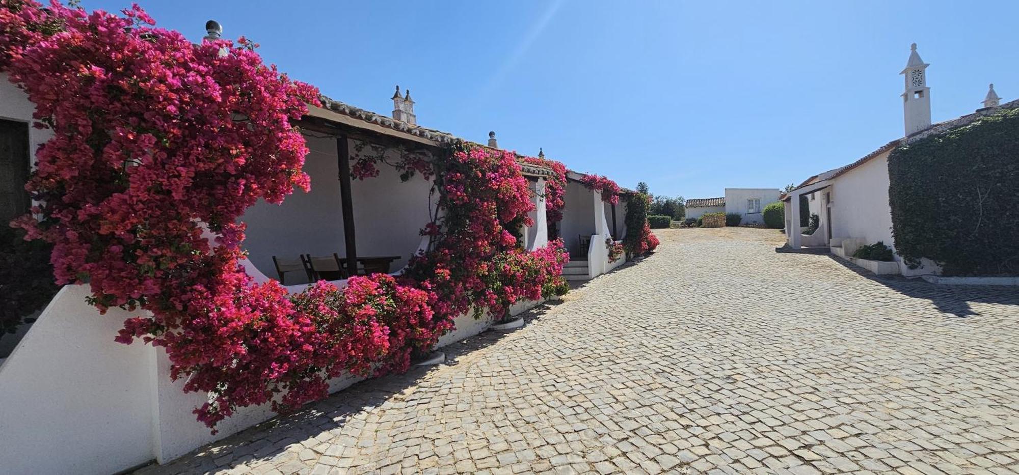 Villa Quinta Do Lagar Albufeira Exterior foto