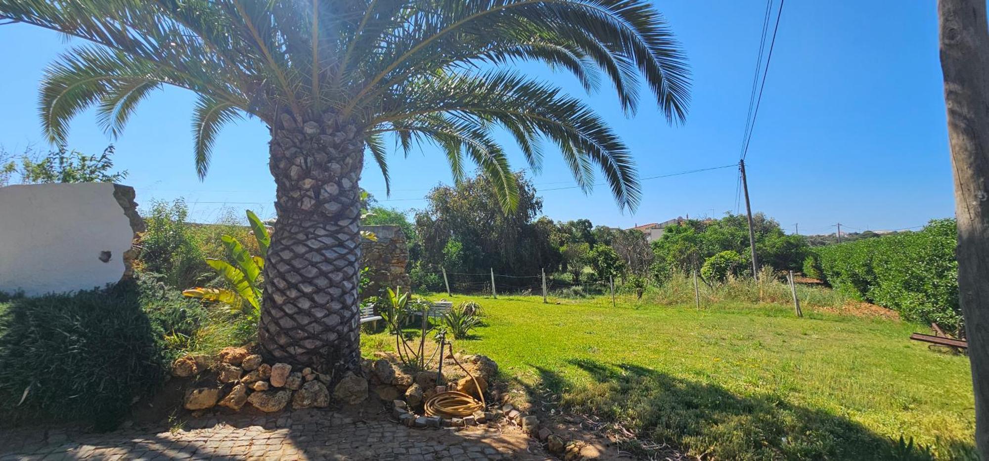 Villa Quinta Do Lagar Albufeira Exterior foto